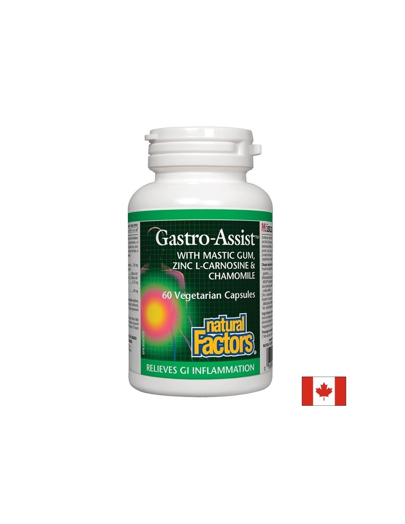 Мастикс, цинков карнозин и лайка за спокоен стомах - Gastro Assist™, 60 капсули