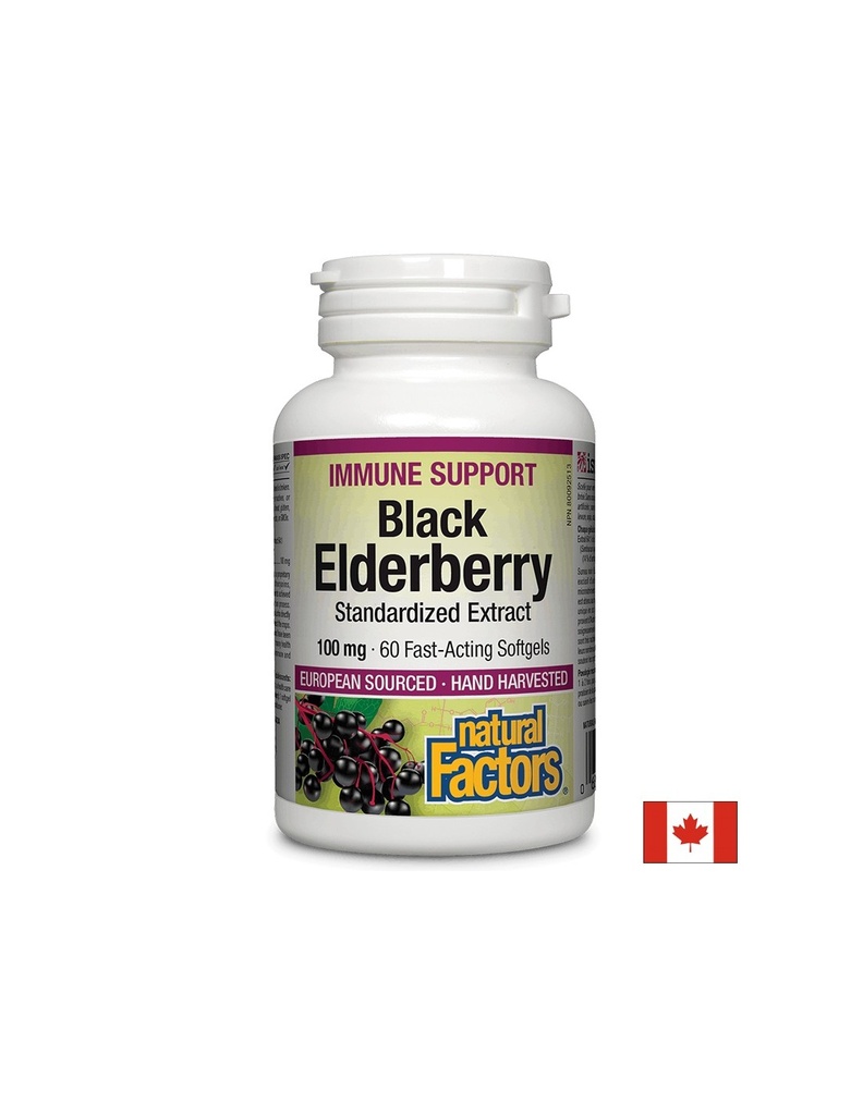Black Elderberry Standardized Extract / Черен бъз /Стандартизиран екстракт/, 100 mg, 60 бързоусвоими софтгел капсули Natural Factors