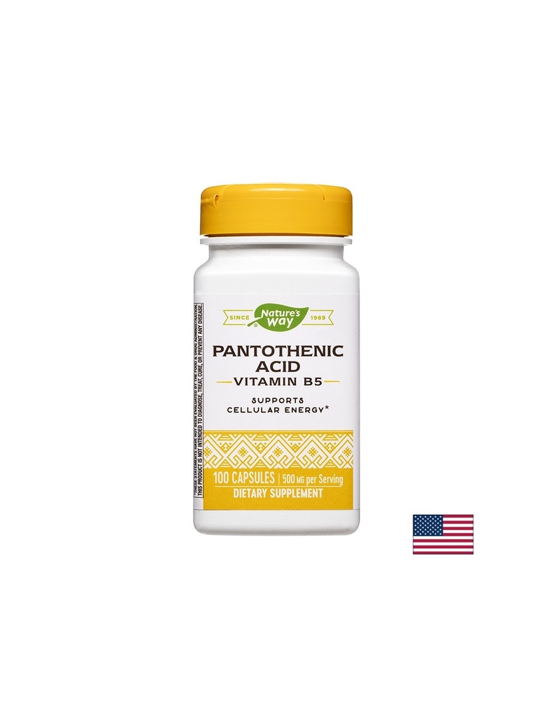 Pantothenic Acid (Vitamin B5) - Пантотенова киселина (Витамин В5), 100 капсули Nature’s Way