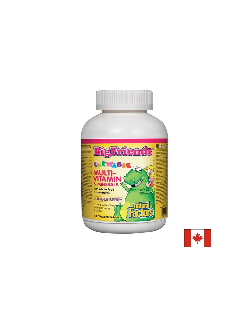 Multi-Vitamin & Minerals Big Friends® / Мултивитамини и минерали за деца х 60 дъвчащи таблетки с вкус на плодове от джунглата Natural Factors