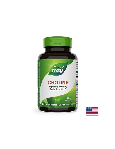 [40460] Choline/ Холин 500 mg х 100 таблетки Nature’s Way