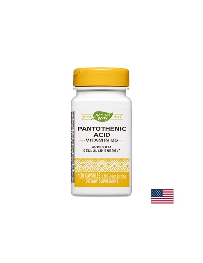 [40491] Pantothenic Acid (Vitamin B5) - Пантотенова киселина (Витамин В5), 100 капсули Nature’s Way